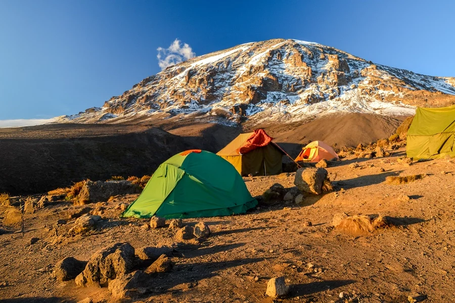 Mount Kilimanjaro with snow-capped peak in the background