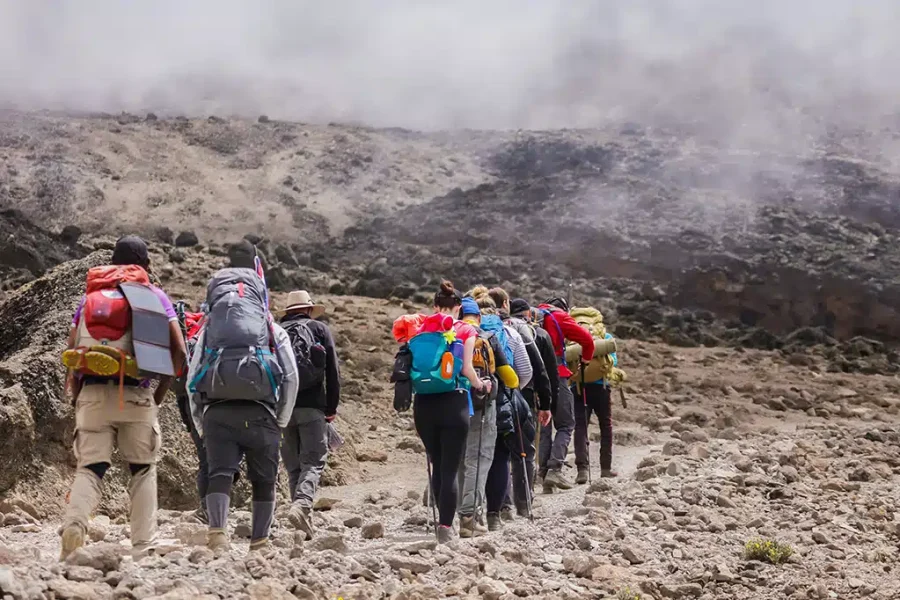 9 Days Kilimanjaro Trek Lemosho Route via Northern Circuit
