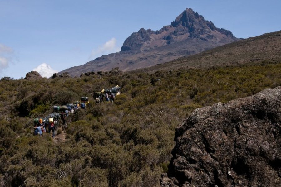 7 Days Rongai Route – Kilimanjaro Trek Itinerary