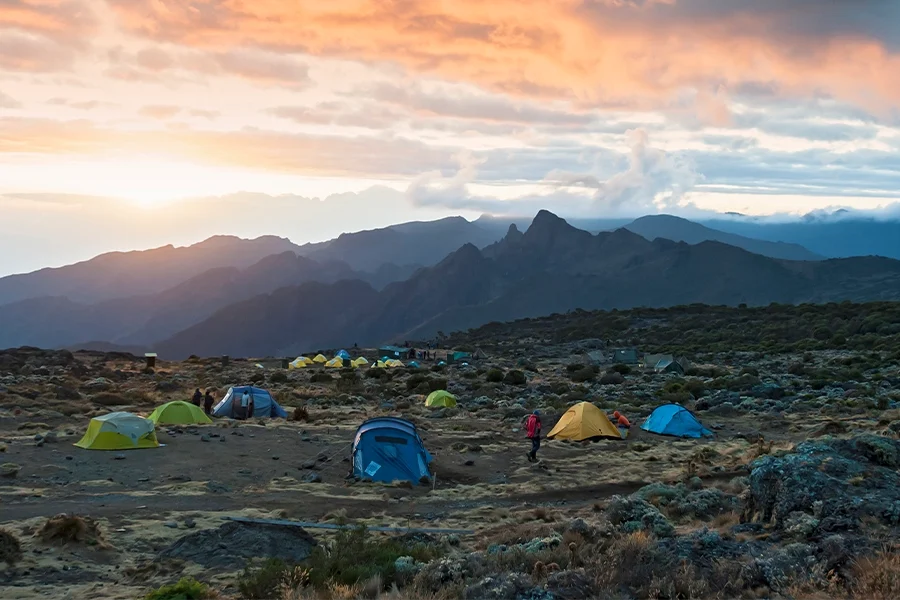 7 Days Machame Route – Kilimanjaro Trek Itinerary