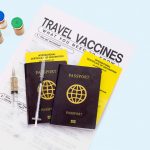 travel vaccines before travel